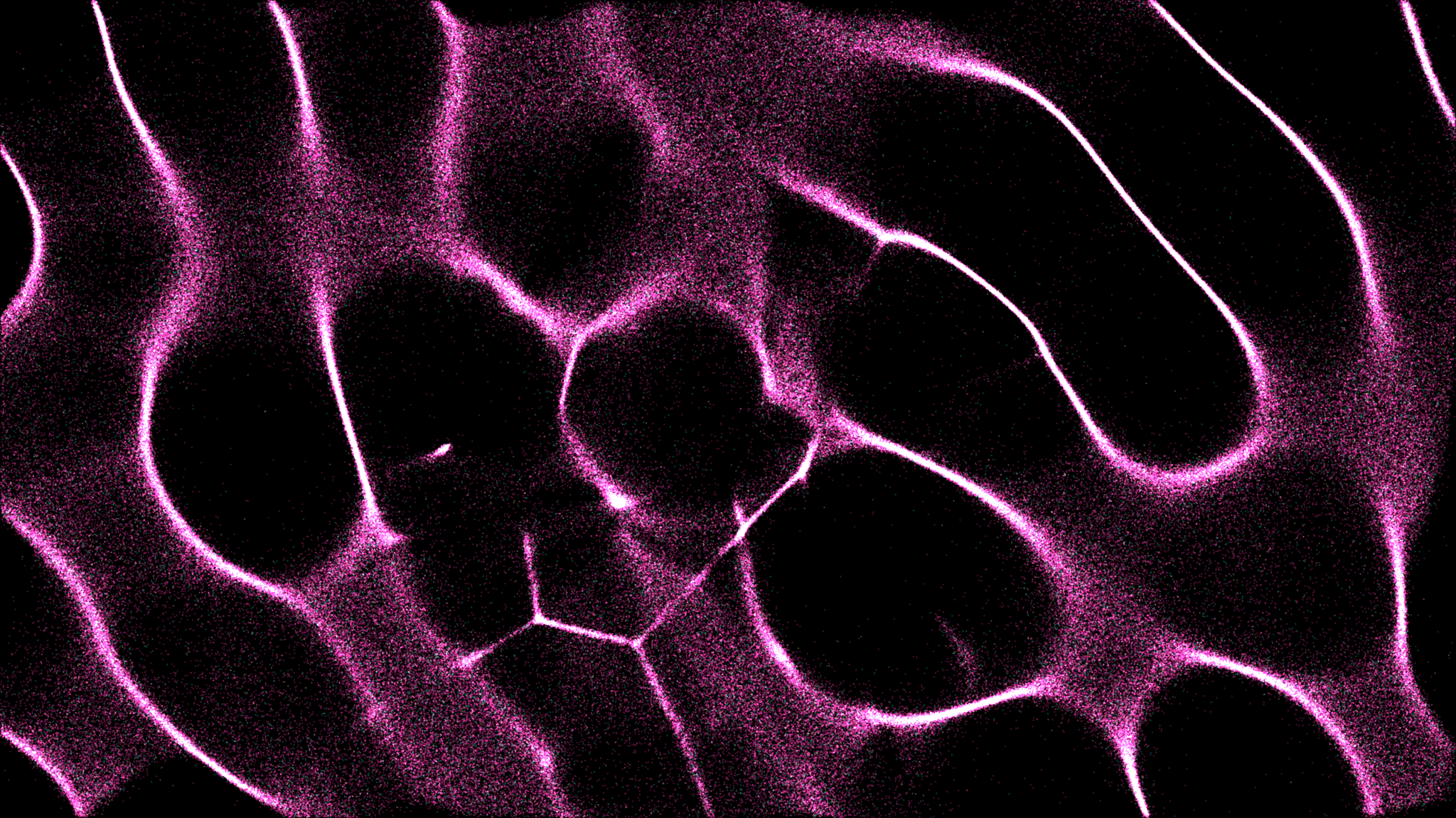 Onchain Capital Allocation Handbook: Volume 1 — Innovators Edition