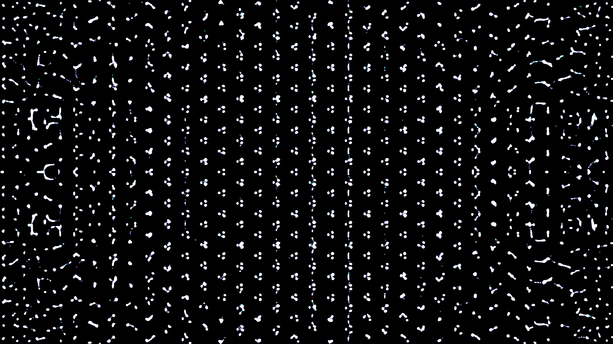 The Networked Firm: Capital Allocation in the Age of Blockchain and AI